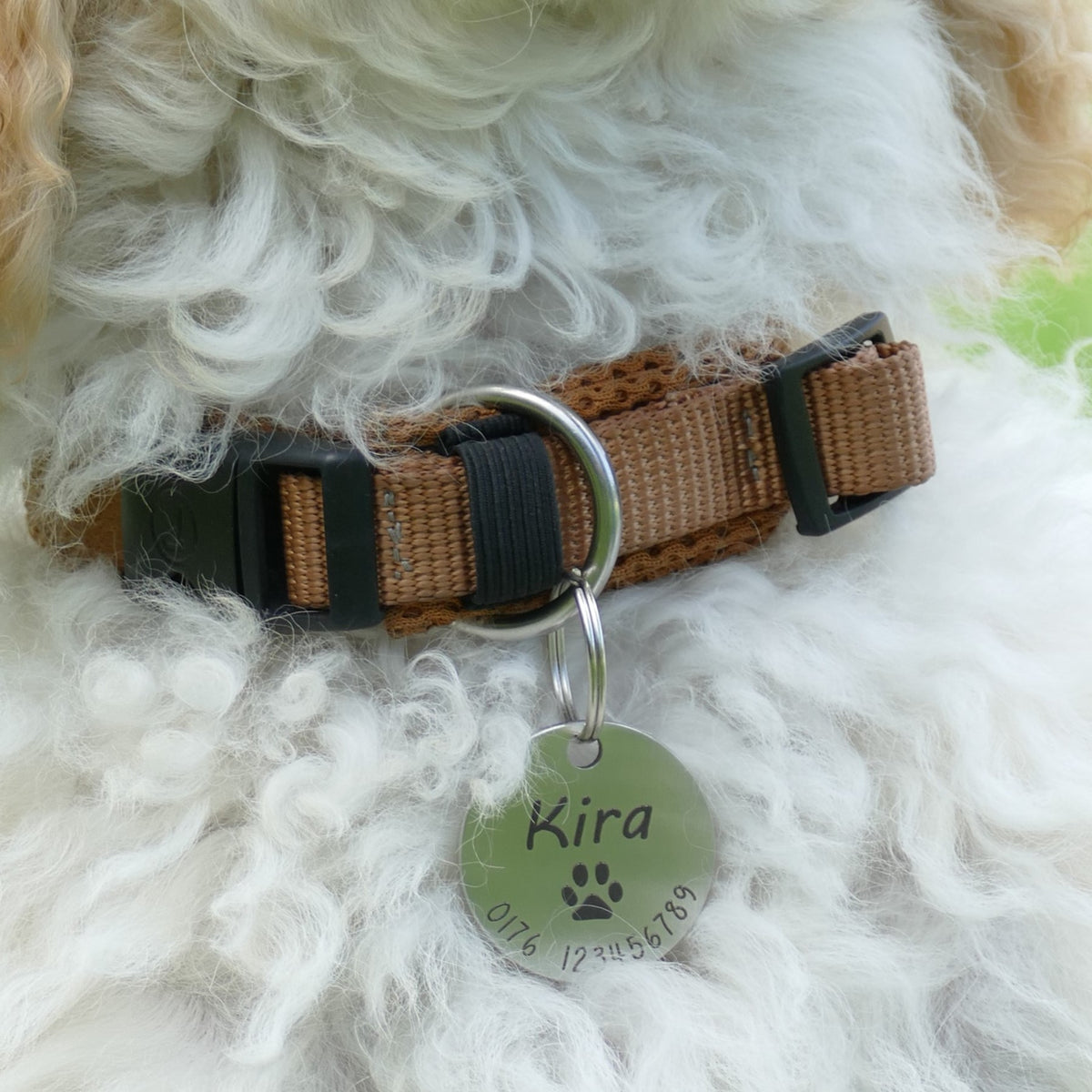 Hundemarke mit Gravur 23mm / 30mm - Wiens3d